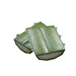 Agave