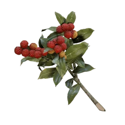 Candleberries
