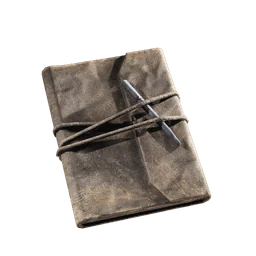 Celeste's Journal