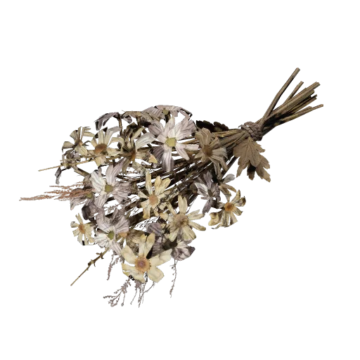 Dead Flowers