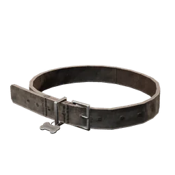 Dog Collar