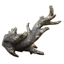 Fossilized Lightning