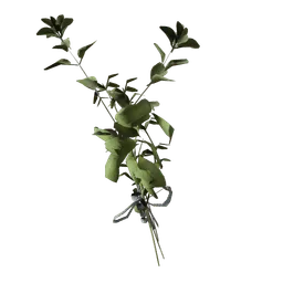 Great Mullein