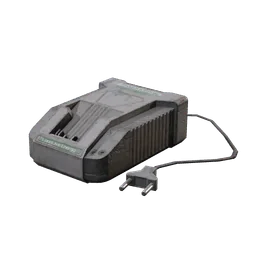 Industrial Charger