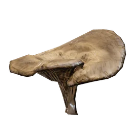 Mushroom
