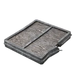 Polluted Air Filter