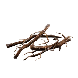 Roots