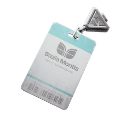 Stella Montis Security Checkpoint Key