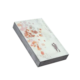 Torn Book